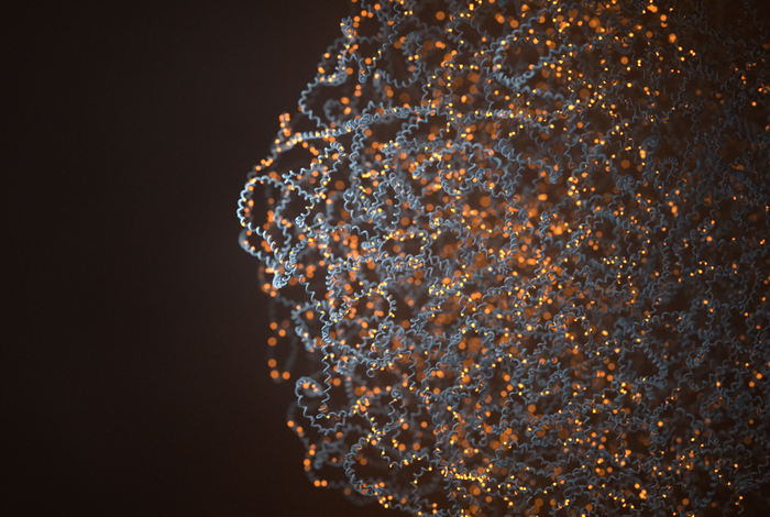 The correlation between CpG methylation and gene expression is driven by sequence variants