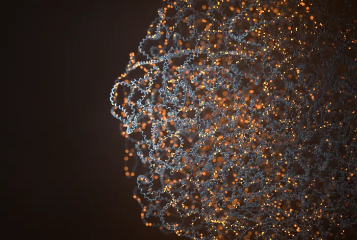 The correlation between CpG methylation and gene expression is driven by sequence variants