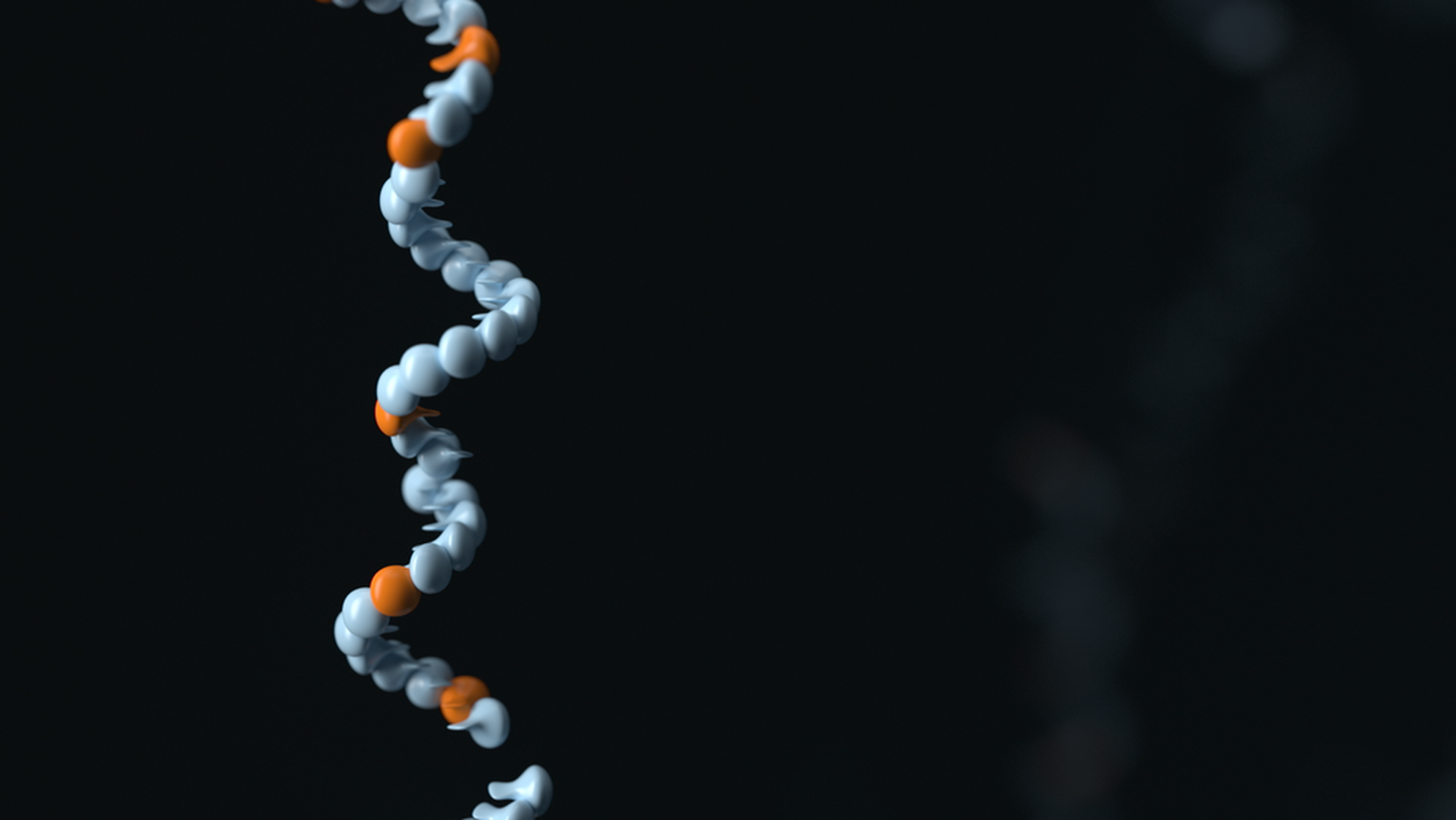 The detection, function, and therapeutic potential of RNA 2'-O-methylation