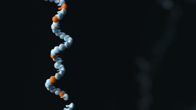 Stand of DNA where most of the bases are white but some are orange