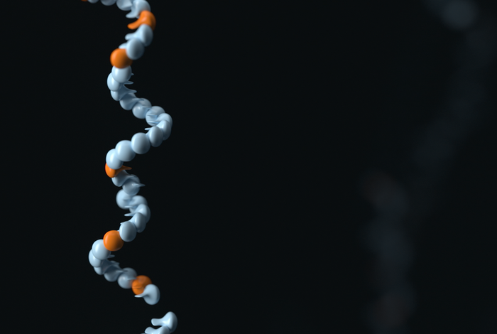 Nanopore sequencing in distinguishing between wild-type and vaccine strains of Varicella-Zoster virus
