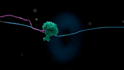 Low Resolution png-ONT_mRNA_QC_STILL_05