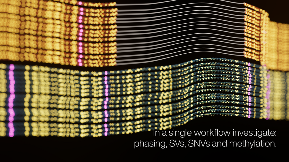 Animation showing lines representing sequencing data. Bases are lit in yellow and pink, and deletions are visualised. The image includes the text- In a single workflow investigate: phasing, SVs, SNVs and methylation