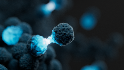 Grey cancer cells dividing, with the split highlighted in a pale blue