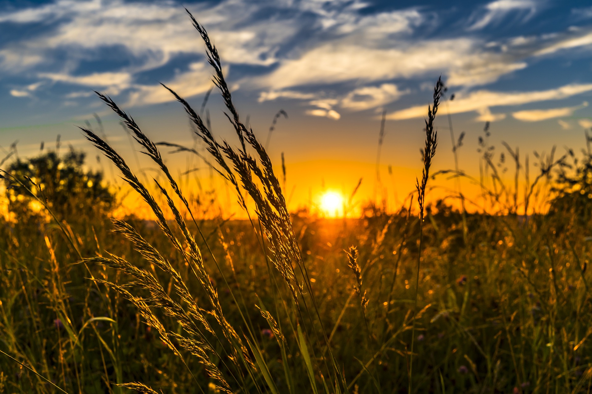 Searching for a needle in a haystack Cas9targeted nanopore sequencing
