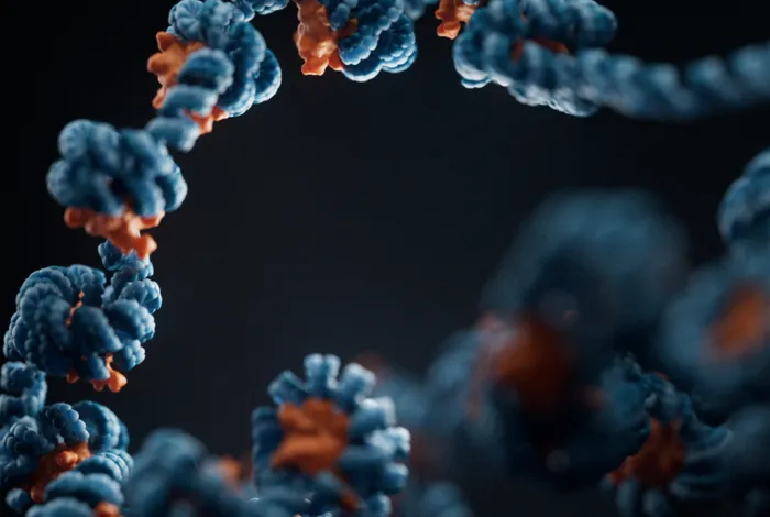 Understanding the binding of multiple transcription factors by base-pair-resolution chromatin accessibility