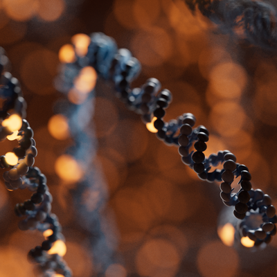 Rachel Rubinstein & Nikhita Damaraju