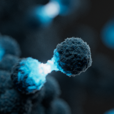 Stephanie Chrysanthou