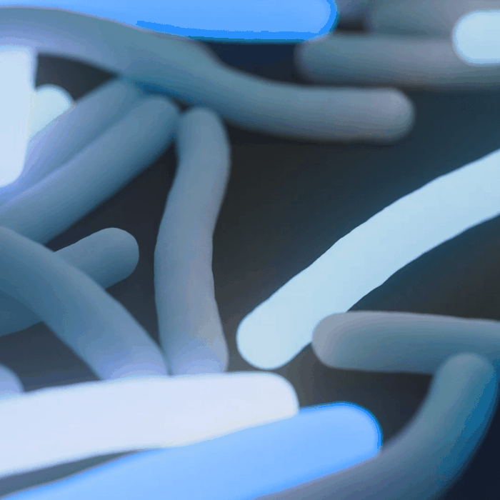 Seq&Treat: targeted sequencing for drug-resistant TB detection and treatment