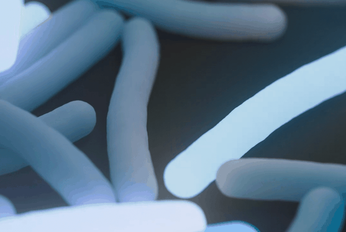 Seq&Treat: targeted sequencing for drug-resistant TB detection and treatment