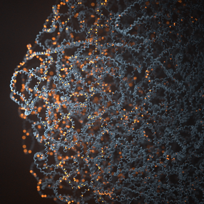 Brynja Sigurpálsdóttir