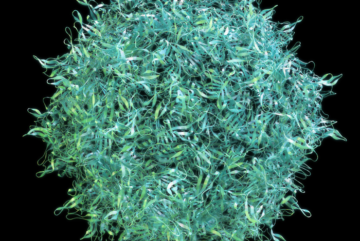 Implementation of sequencing in a regulated environment