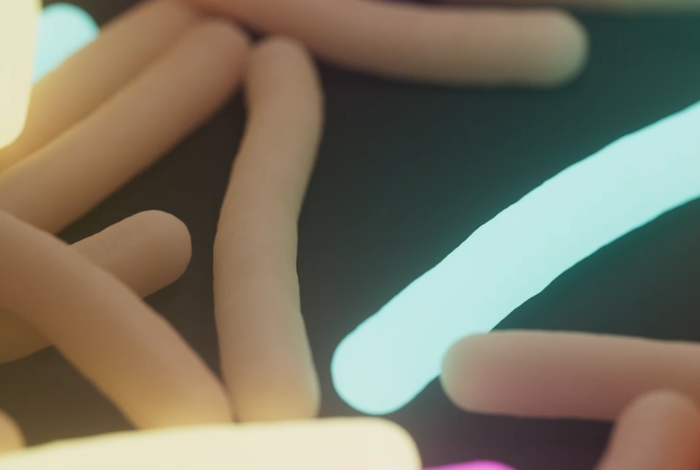 The art of GMP in the world of NGS: trials, tribulations, and a whole lot of acronyms — a success story