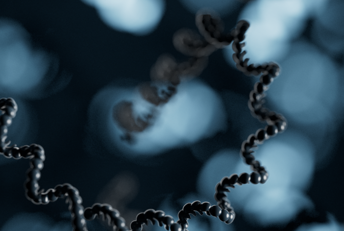 Positional mapping of active versus silenced rRNA gene clusters within A. thaliana nucleolus organizer regions
