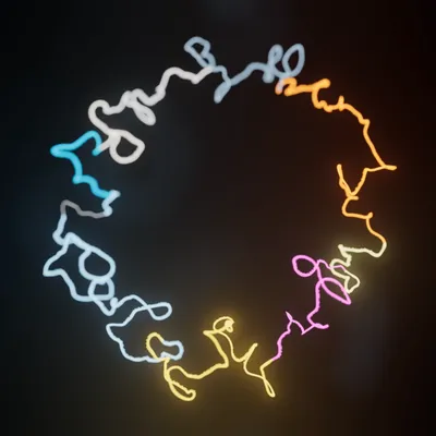 Matt Parker & Tim Walker