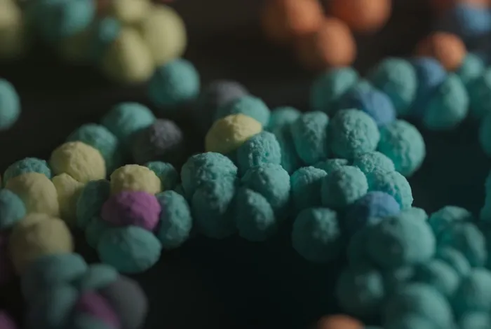 Antibody discovery through post-vaccination single-cell transcriptomics and haplotype-resolved germline sequencing