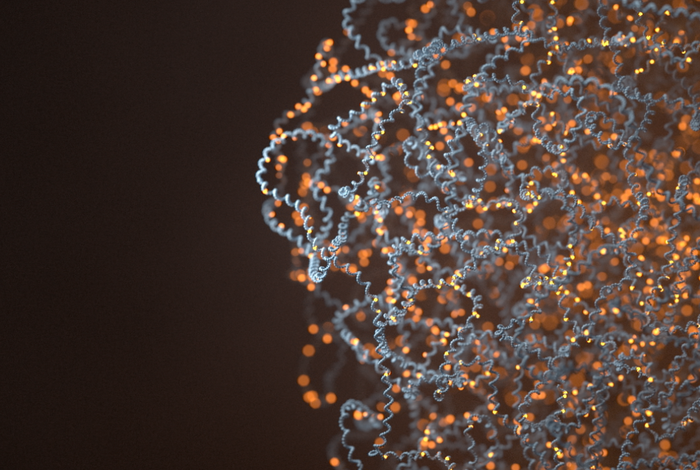 NESSI-Seq: novel cfDNA methylation assays for biomarker discovery and precision medicine