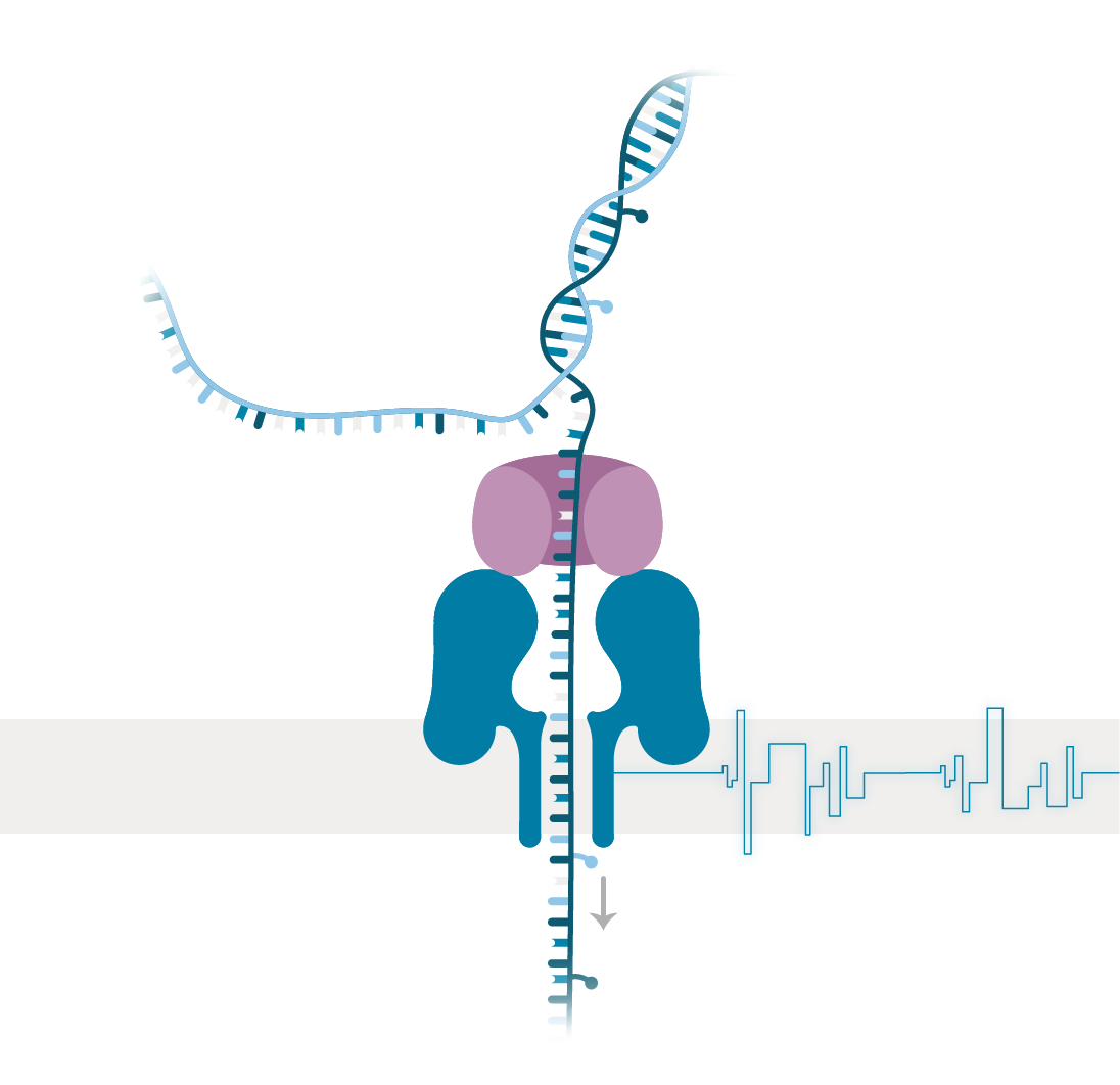 Nanopore sensing graphic