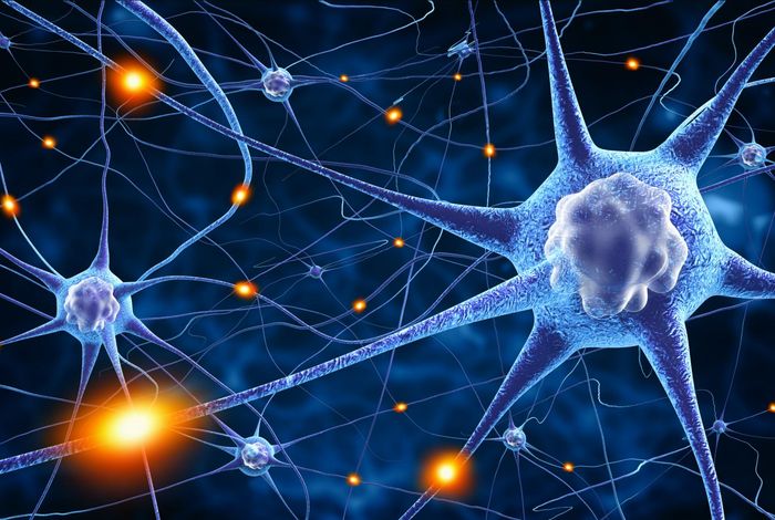 Robust methylation-based classification of brain tumors using nanopore sequencing