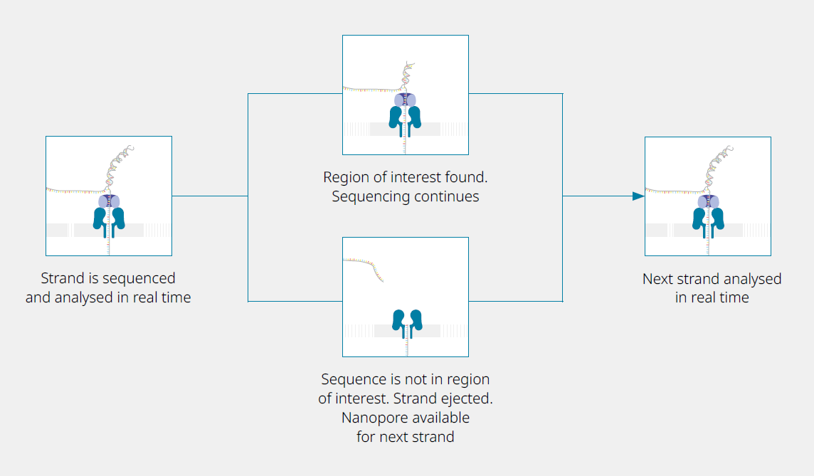 A schematic providing a high-level overview of how adaptive sampling works