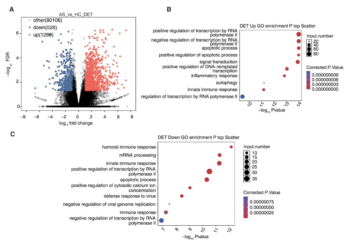 Cao and Li et al 2026