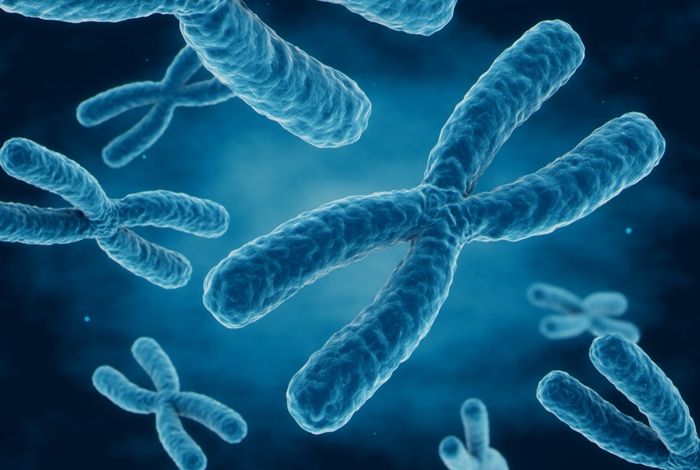 Integrative multiomics approaches in oncology and rare disease research