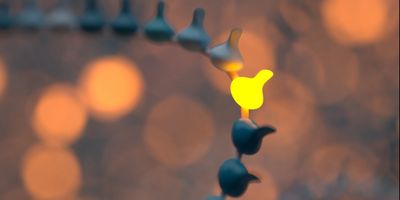 Methylation