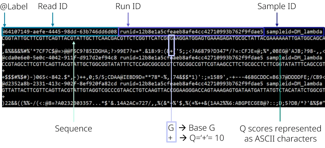 Image introducing the features recorded in a FASTQ file.