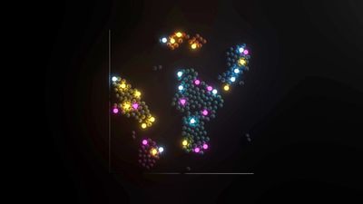 Animation of a UMAP plot showing cell clusters, with some cells glowing