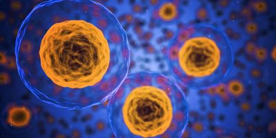 Full-length RNA isoforms in human colorectal cancer at single-cell resolution