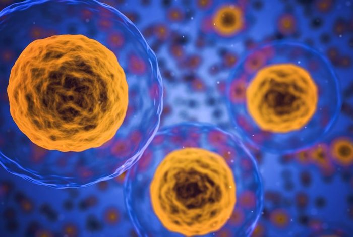 Full-length RNA isoforms in human colorectal cancer at single-cell resolution