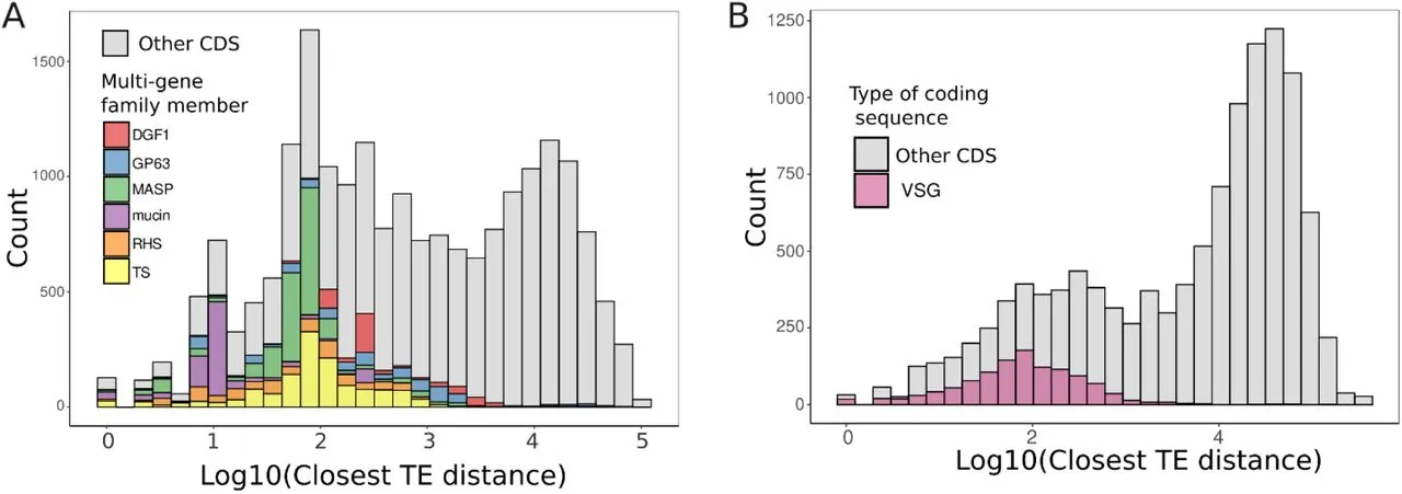 Bar charts showing counts of coding sequences by log-transformed closest TE distance. Chart A has multi-gene families, Chart B differentiates VSG and other CDS.