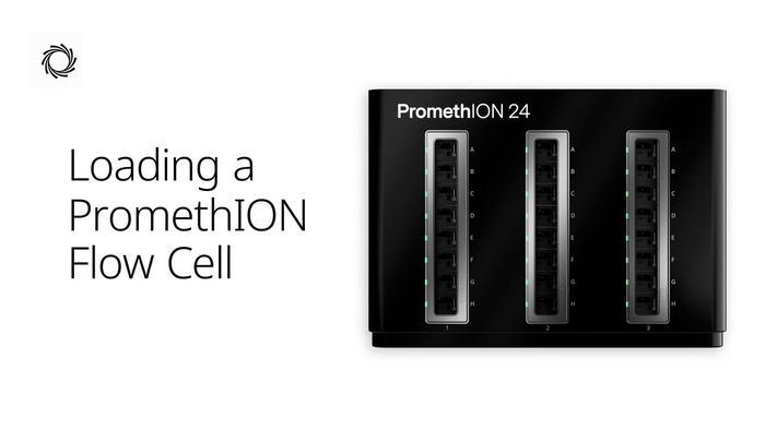 How do I load a PromethION Flow Cell?