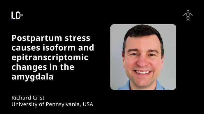 Postpartum stress causes isoform and epitranscriptomic changes in the amygdala | LC26