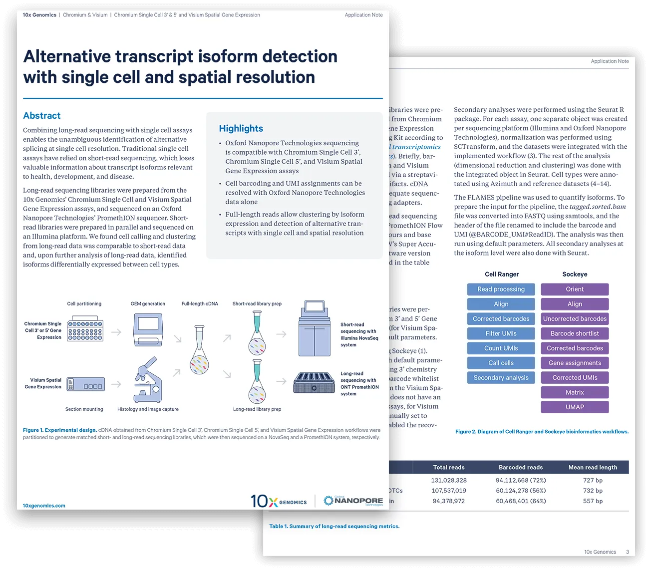 RNA sequencing and gene expression analysis