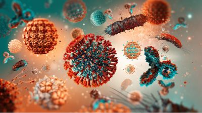 infectious disease microbes