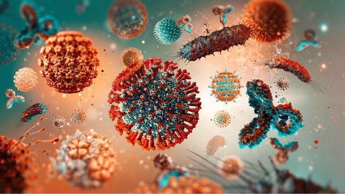Clinical validation and utility of targeted nanopore sequencing for rapid pathogen diagnosis and precision therapy in lung cancer patients