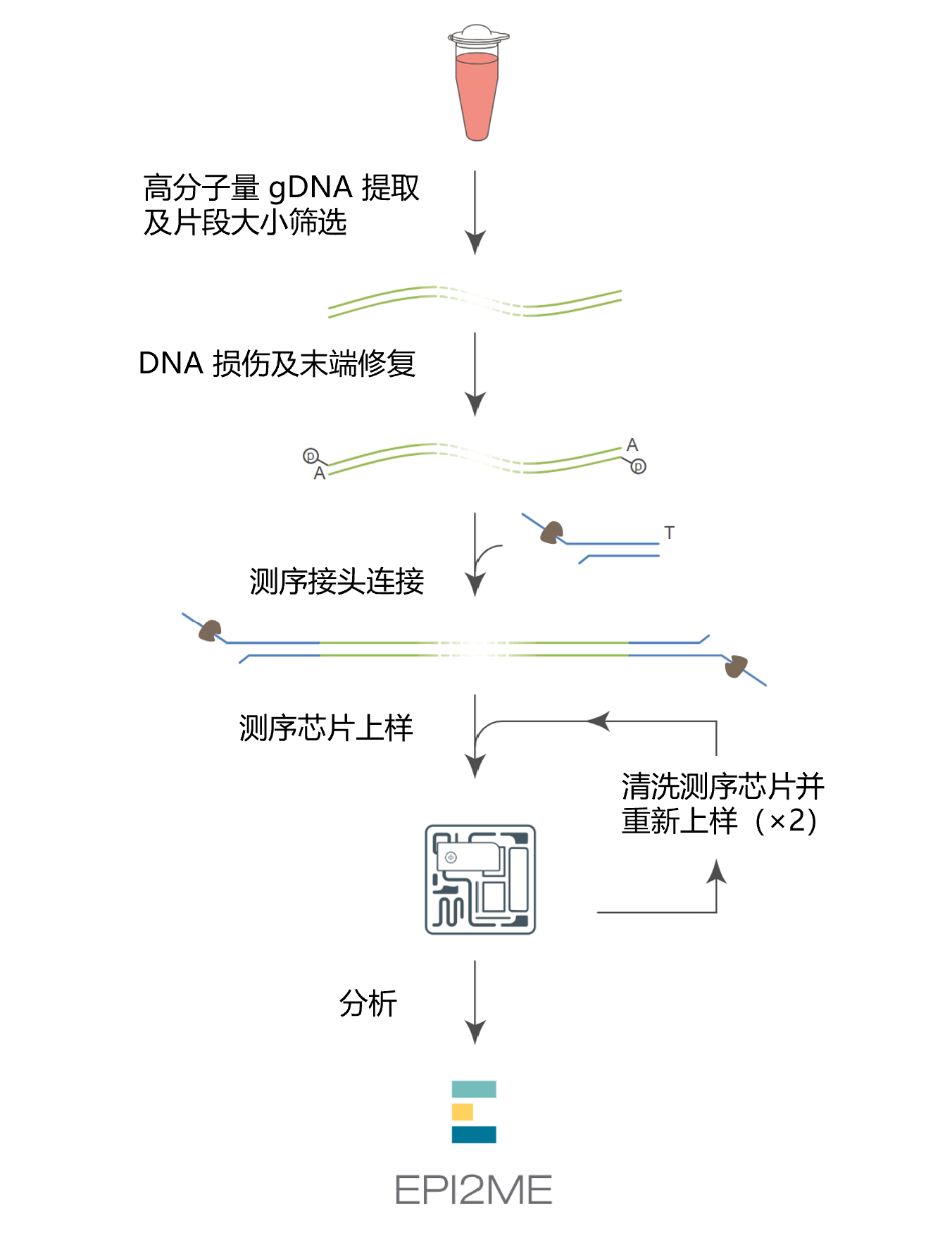 Chinese_Workflow image human blood variation LSK114 svg Chinese_Workflow image human blood variation LSK114 svg