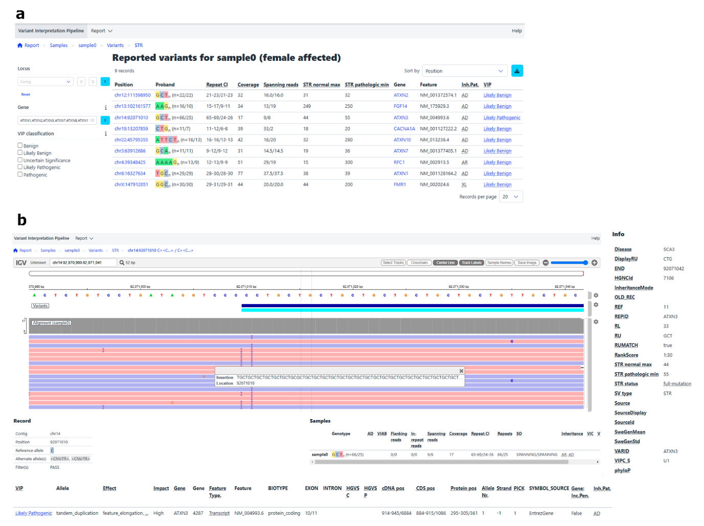 Variant interpretation report from de Boer et al. which could be used in a clinical setting