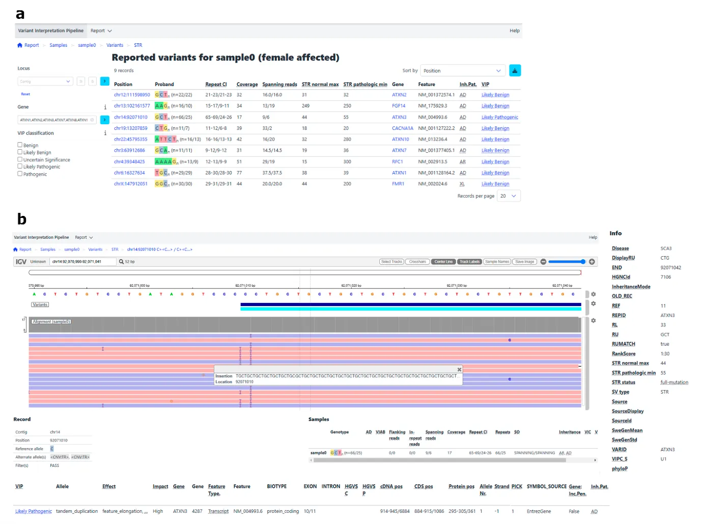 Variant interpretation report from de Boer et al. which could be used in a clinical setting