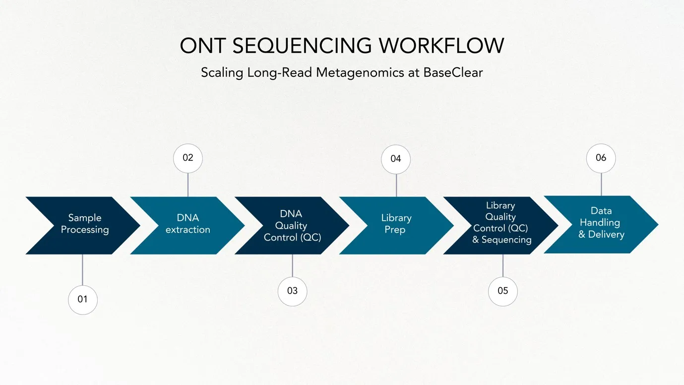 Oxford Nanopore sequencing workflow for scaling metagenomics at BaseClear