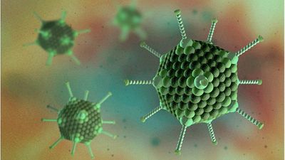 3D illustration of adenovirus particles in green