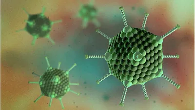 3D illustration of adenovirus particles
