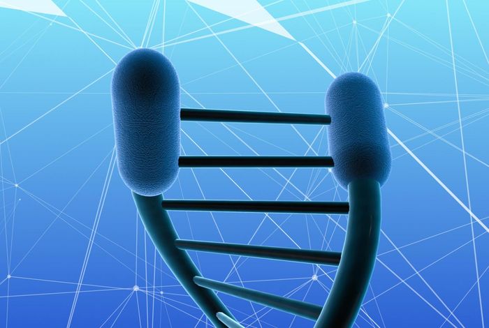 A telomere to telomere assembly of Oscheius tipulae and the evolution of rhabditid nematode chromosomes