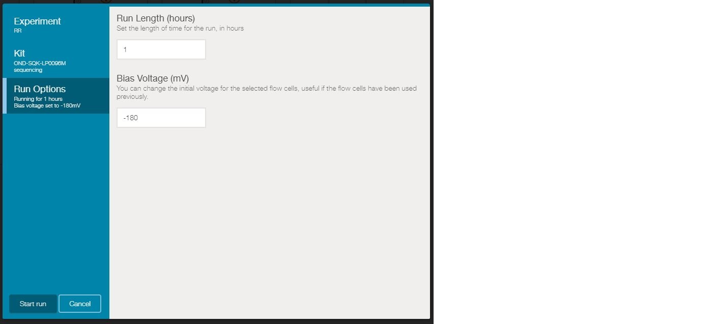 run options run options