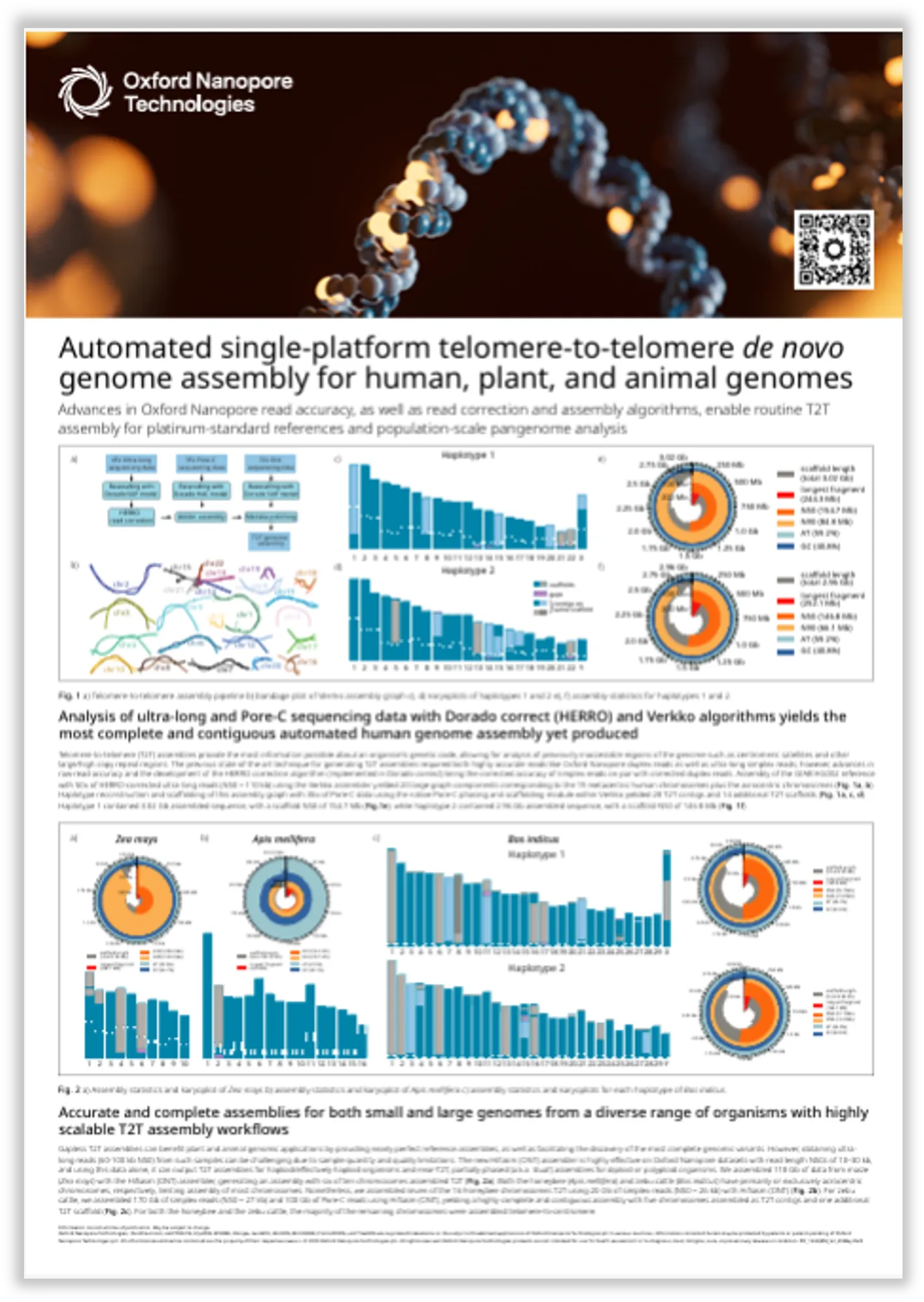 Image of LC2025 T22 poster