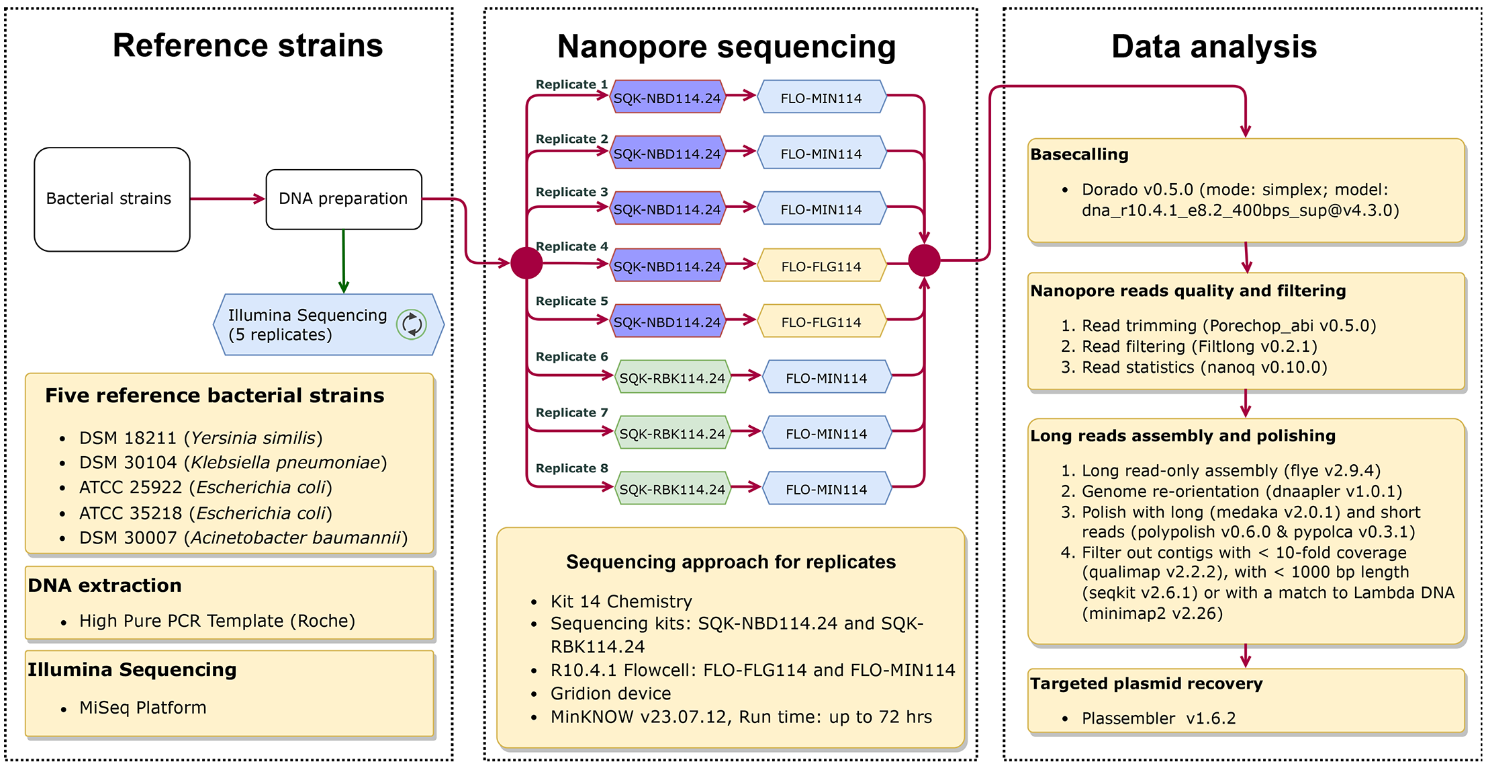 Methodological workflow used in the study