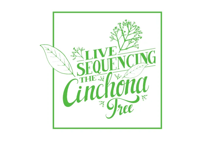 London Calling: Live first-time sequencing of the Fever Tree - the plant that some say has saved millions of lives from malaria