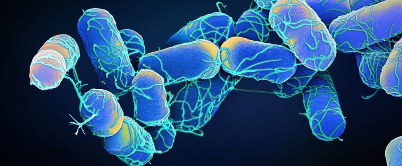 Microbiology_still edit