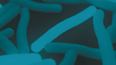 Visualisation of Mycobacterium tuberculosis bacteria in shades of blue.